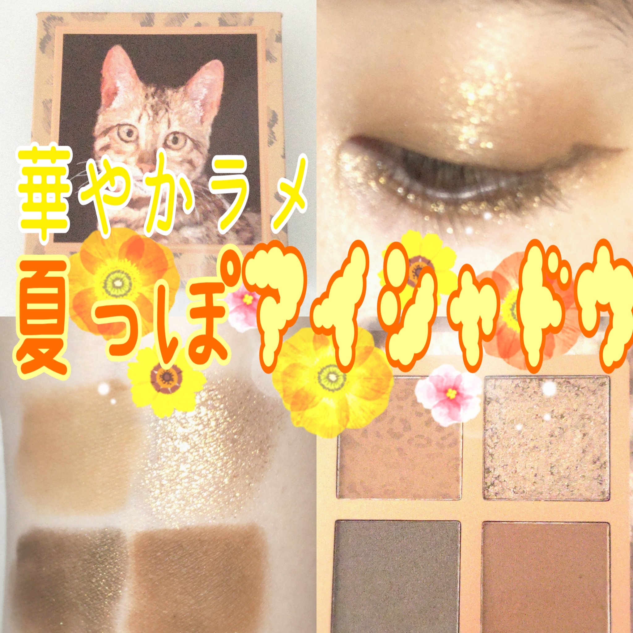 Venus Marble アイシャドウキャットシリーズ/Venus Marble/アイシャドウパレットを使ったクチコミ（1枚目）