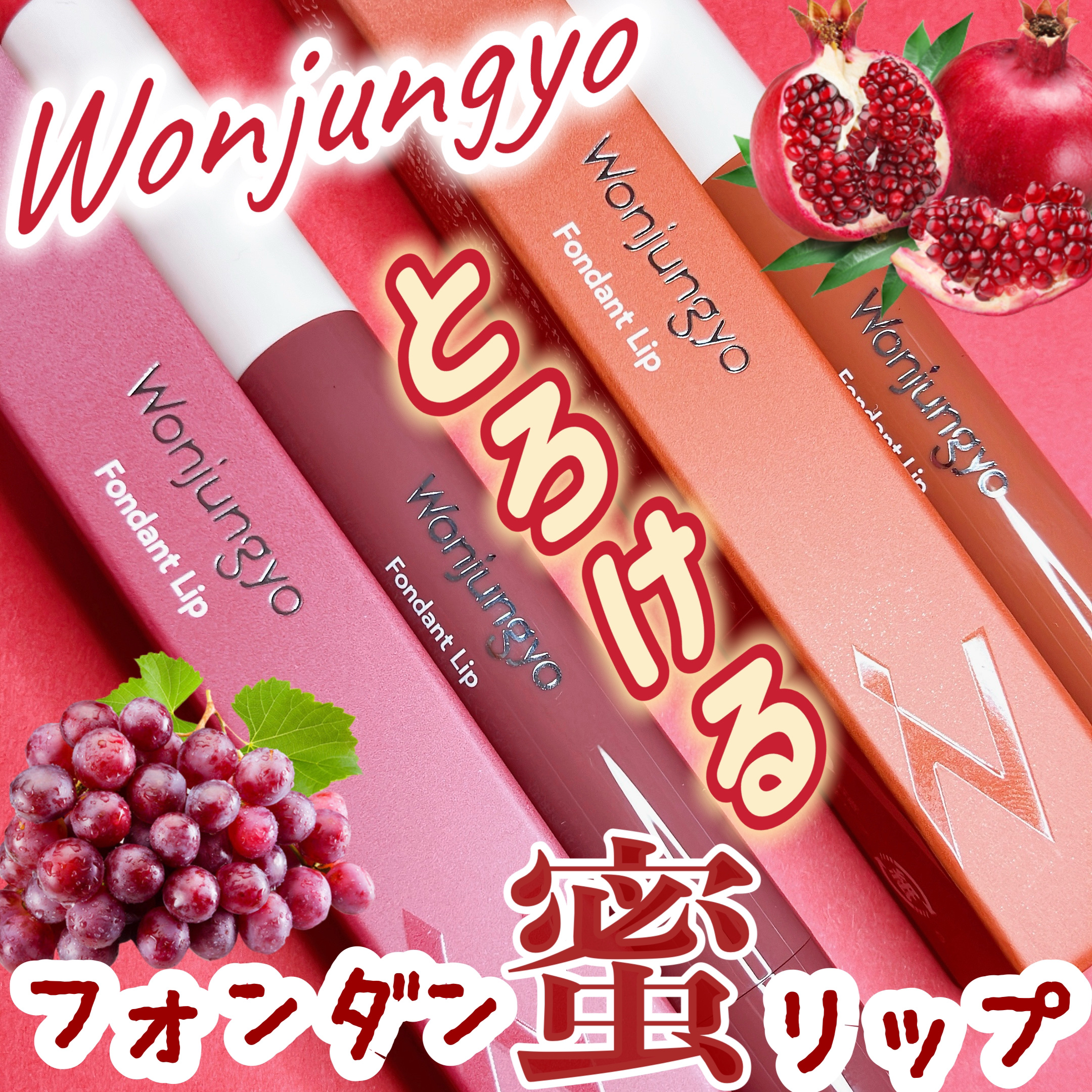 ウォンジョンヨ フォンダンリップ/Wonjungyo/口紅を使ったクチコミ（1枚目）