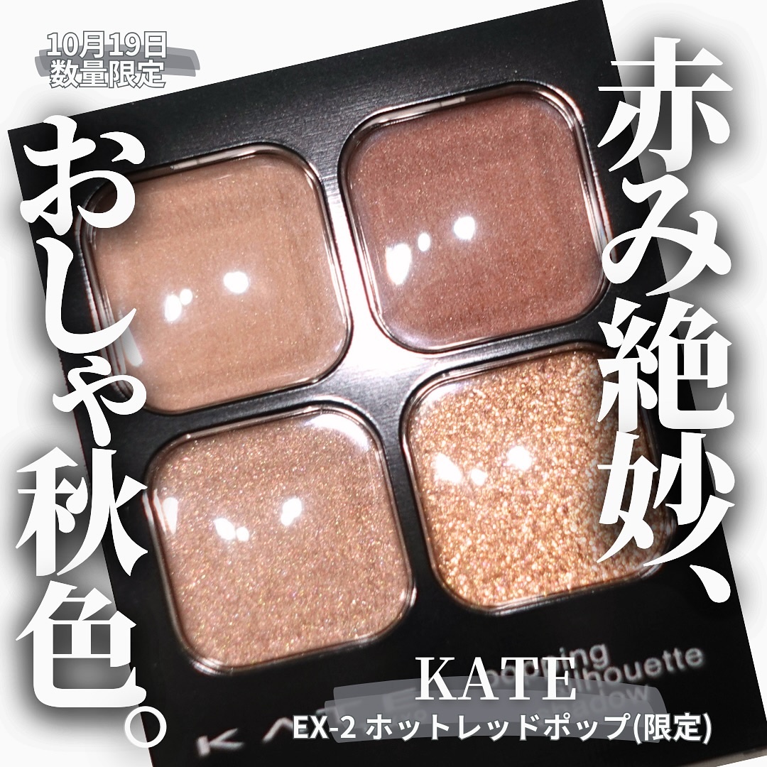 ケイト ポッピングシルエットシャドウ/KATE/アイシャドウパレットを使ったクチコミ（1枚目）