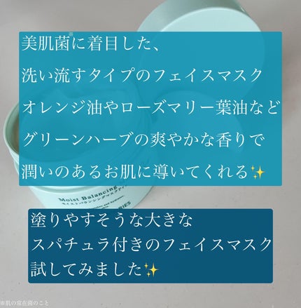 モイストバランシングマスクPro./ビービーラボラトリーズ/洗い流すパック・マスクを使ったクチコミ(2枚目)