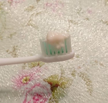 ティースラボ　ボタニカル トゥースペースト/TeethLab/歯磨き粉を使ったクチコミ（3枚目）