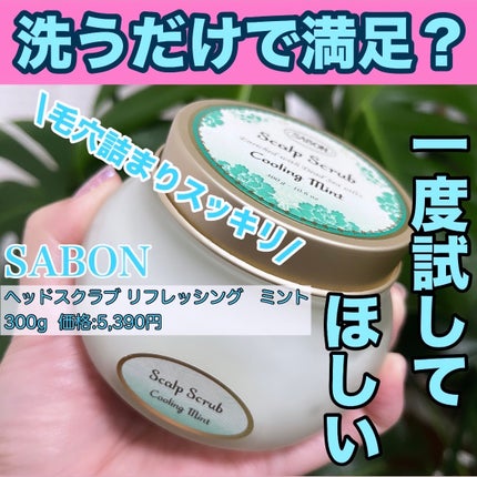 ヘッドスクラブ リフレッシング(ミント)/SABON/ヘッドスクラブを使ったクチコミ(1枚目)