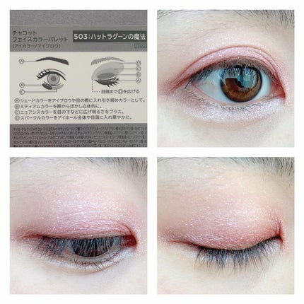 フェイスカラーパレット/チャコット・コスメティクス/アイシャドウパレットを使ったクチコミ(4枚目)