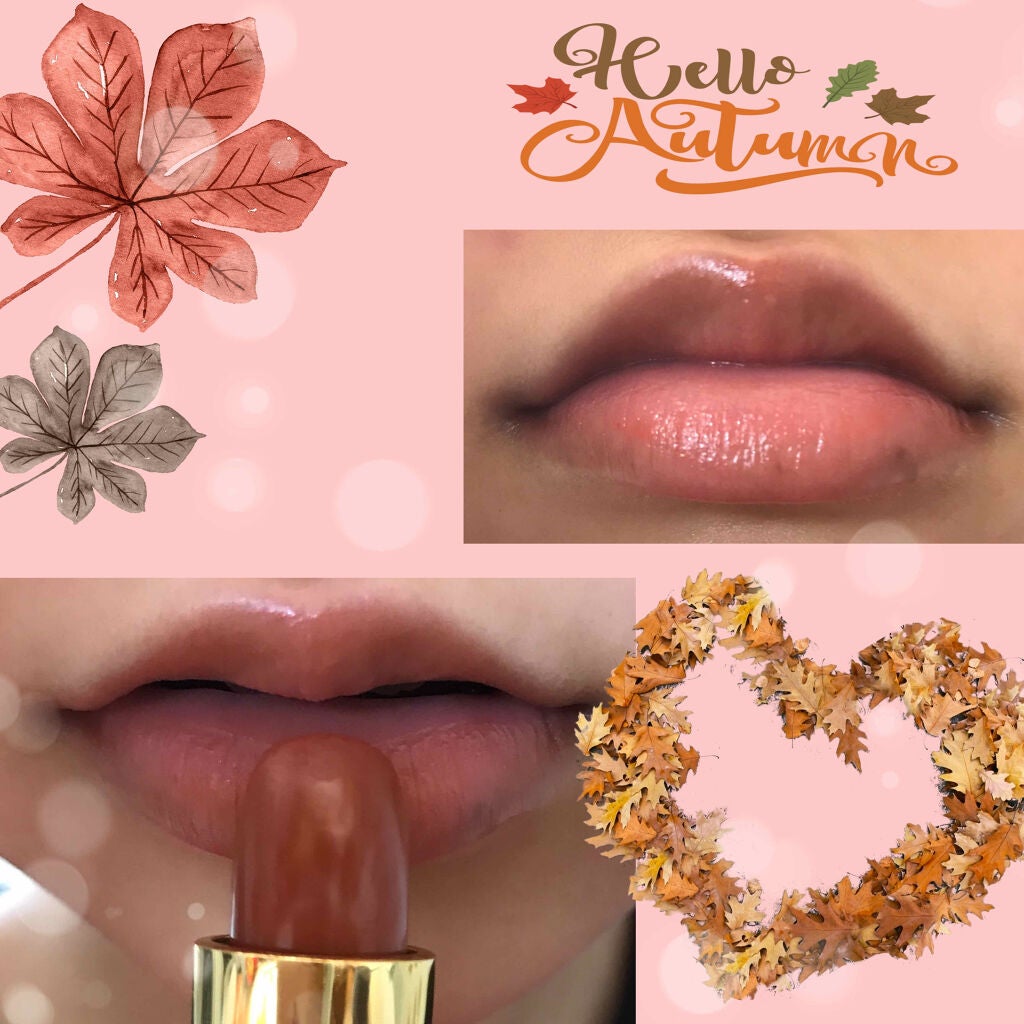お麩@フォロバ100🌷 on LIPS 「【秋にピッタリ。垢抜けテラコッタリップ🍁】どうもお麩です~!!..」(2枚目)