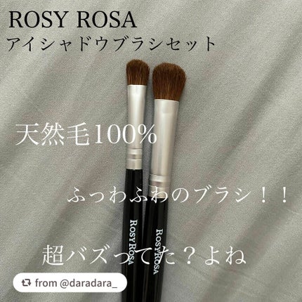 アイシャドウブラシセット/ロージーローザ/メイクブラシを使ったクチコミ(2枚目)