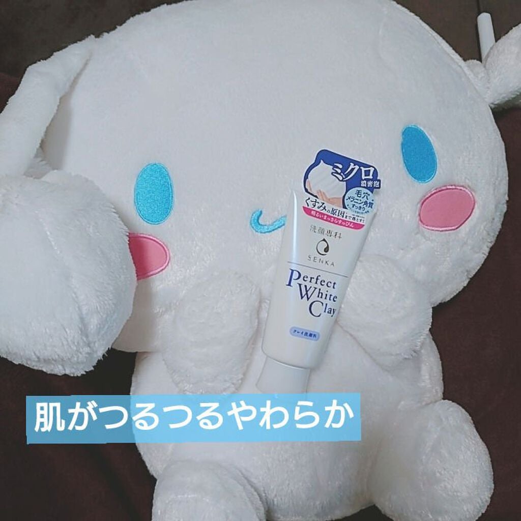 パーフェクトホワイトクレイ/SENKA(専科)/洗顔フォームを使ったクチコミ(1枚目)