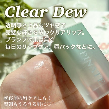 ナチュラルブルームリップオイルセラム 3色セット/PINATE/リップグロスを使ったクチコミ(9枚目)