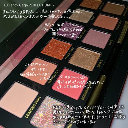 エクスプローラ12色 動物アイシャドウパレット/PERFECT DIARY/アイシャドウパレットを使ったクチコミ(4枚目)