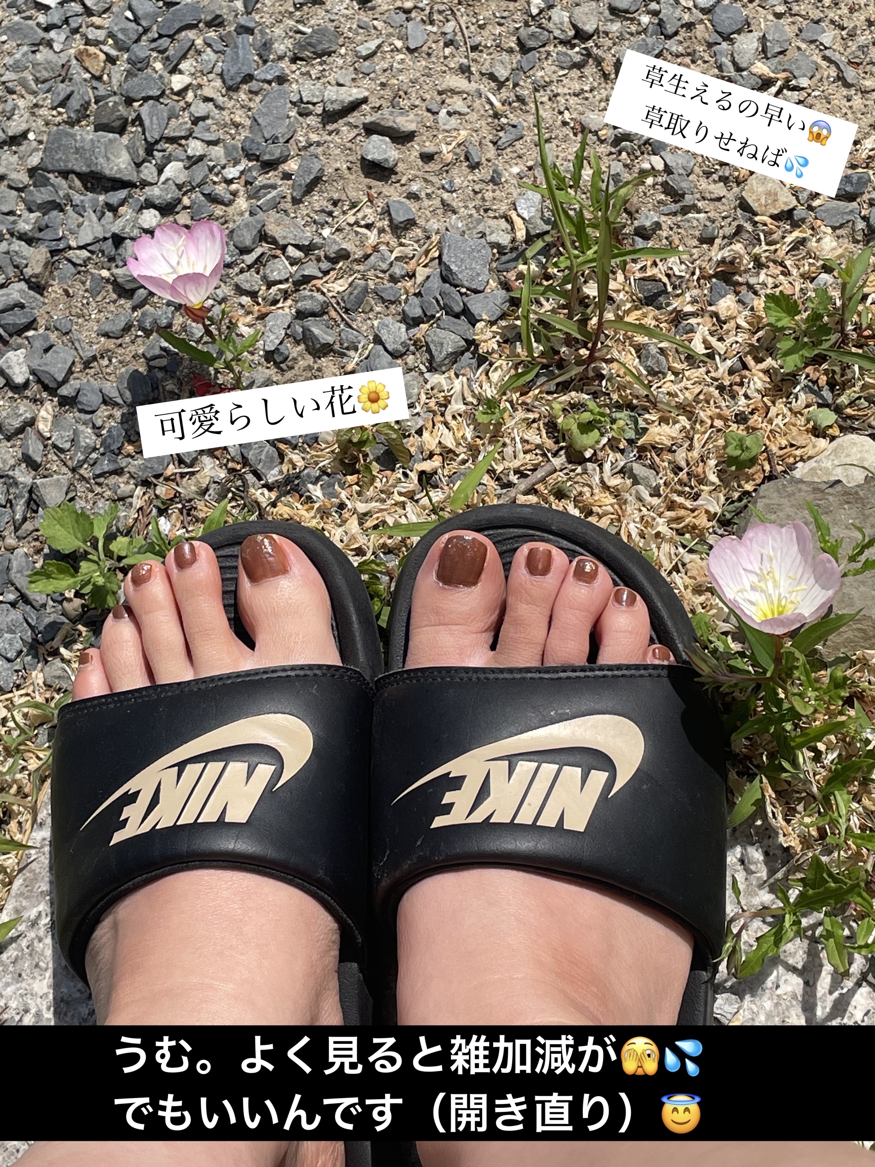 ミニネイル SV02 ガラスシューズ/パラドゥ/マニキュアを使ったクチコミ（2枚目）