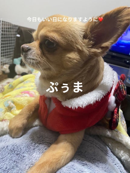 一番コフレ 鬼滅の刃 C賞ハンドクリーム/BANDAI SPIRITS/ハンドクリームを使ったクチコミ(8枚目)