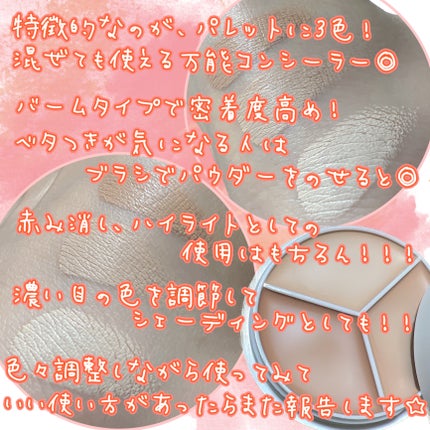 カバーアッププロコンシーラー/TFIT/パレットコンシーラーを使ったクチコミ(5枚目)