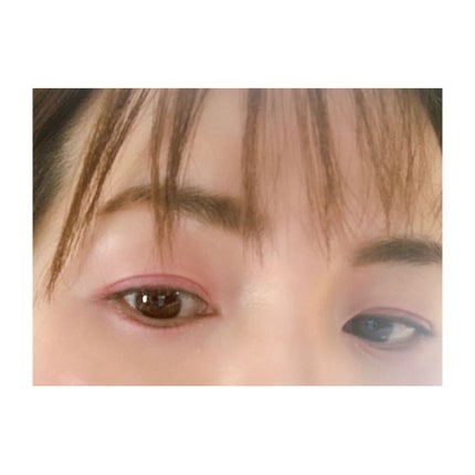 スイ ブラック アイカラー 304/ANNA SUI/アイシャドウパレットの画像