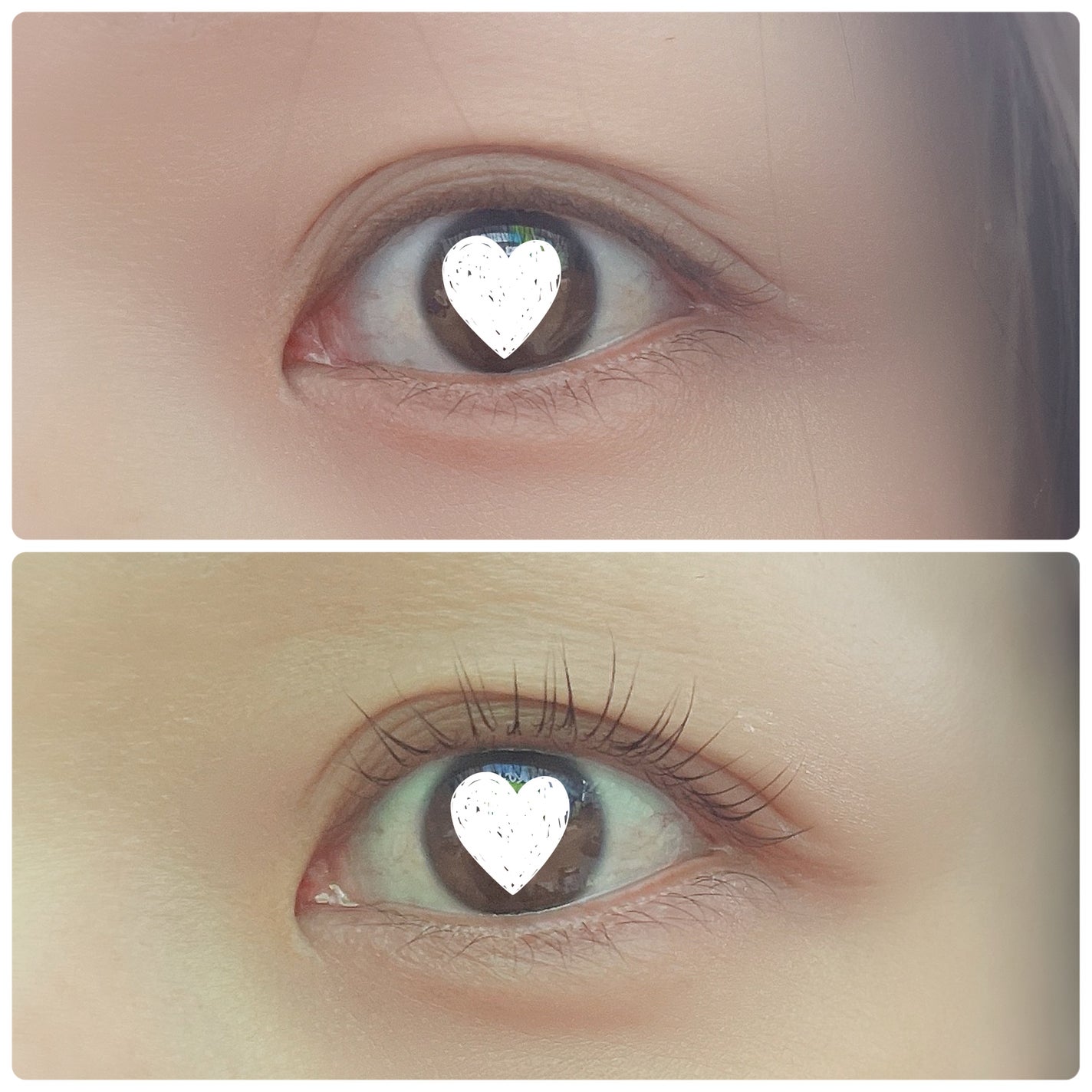 セルフまつ毛パーマキット/ICLIONE/その他キットセットを使ったクチコミ(5枚目)