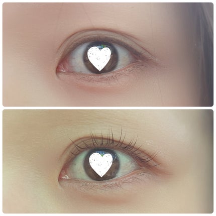 セルフまつ毛パーマキット/ICLIONE/その他キットセットを使ったクチコミ(5枚目)