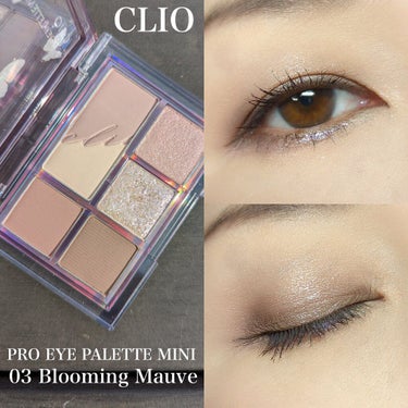 プロ アイパレット ミニ/CLIO/アイシャドウパレットを使ったクチコミ（1枚目）