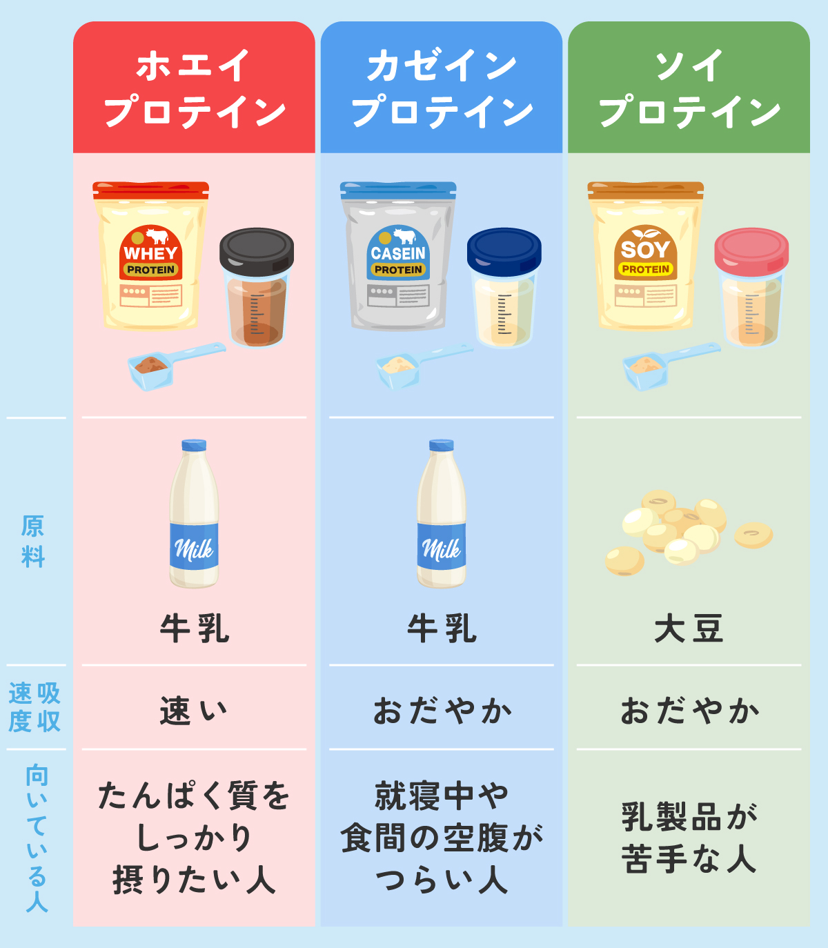 ホエイプロテインは牛乳が原料で吸収速度が速くたんぱく質をしっかり摂りたい人向き。カゼインプロテインは牛乳が原料で吸収速度がおだやかで就寝中や食間の空腹がつらい人向き。ソイプロテインは大豆が原料で吸収速度がおだやかで乳製品が苦手な人向き。