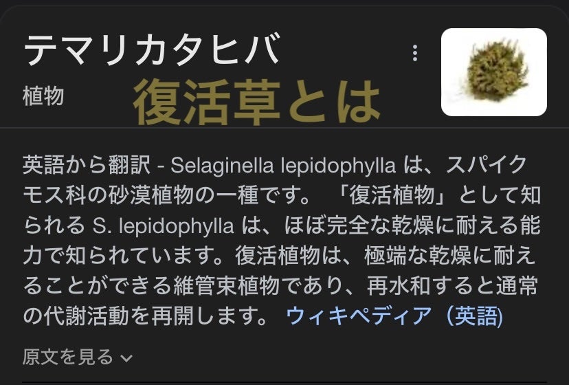 Pure Plain hydrating Mask/SNP/シートマスク・パックを使ったクチコミ(7枚目)