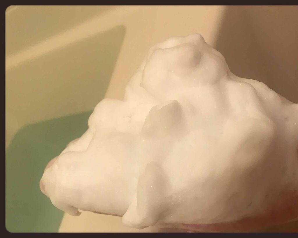 ベジガーデン クレンジングフォーム/SKINFOOD/洗顔フォームを使ったクチコミ(3枚目)