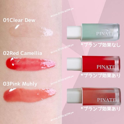 ナチュラルブルームリップオイルセラム 3色セット/PINATE/リップグロスを使ったクチコミ(3枚目)