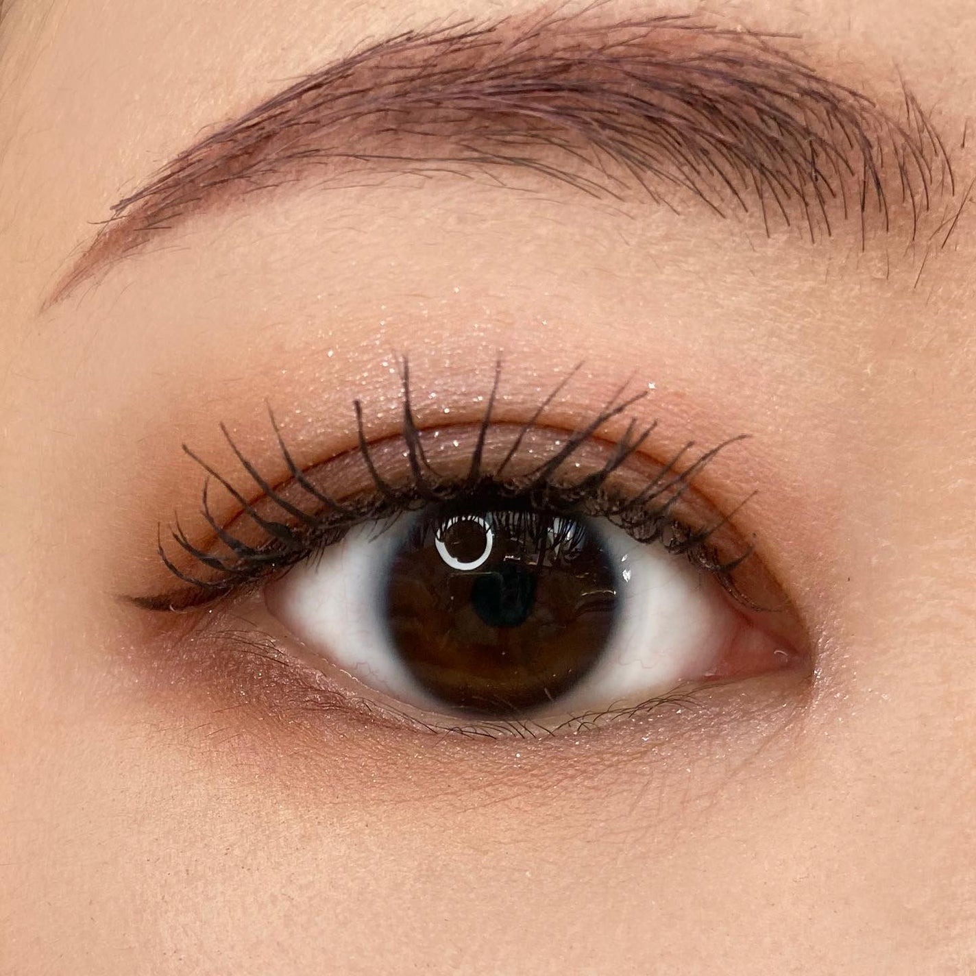 ホリデー アディクション サイレント ウィッシュⅠ/ADDICTION/メイクアップキットを使ったクチコミ(8枚目)