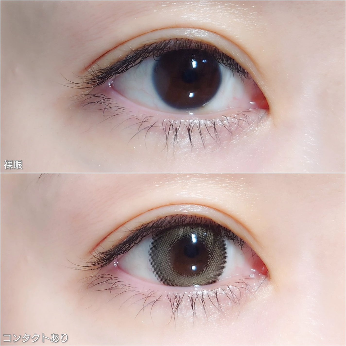 FLANMY 1day/FLANMY/ワンデー(1DAY)カラコンを使ったクチコミ(2枚目)