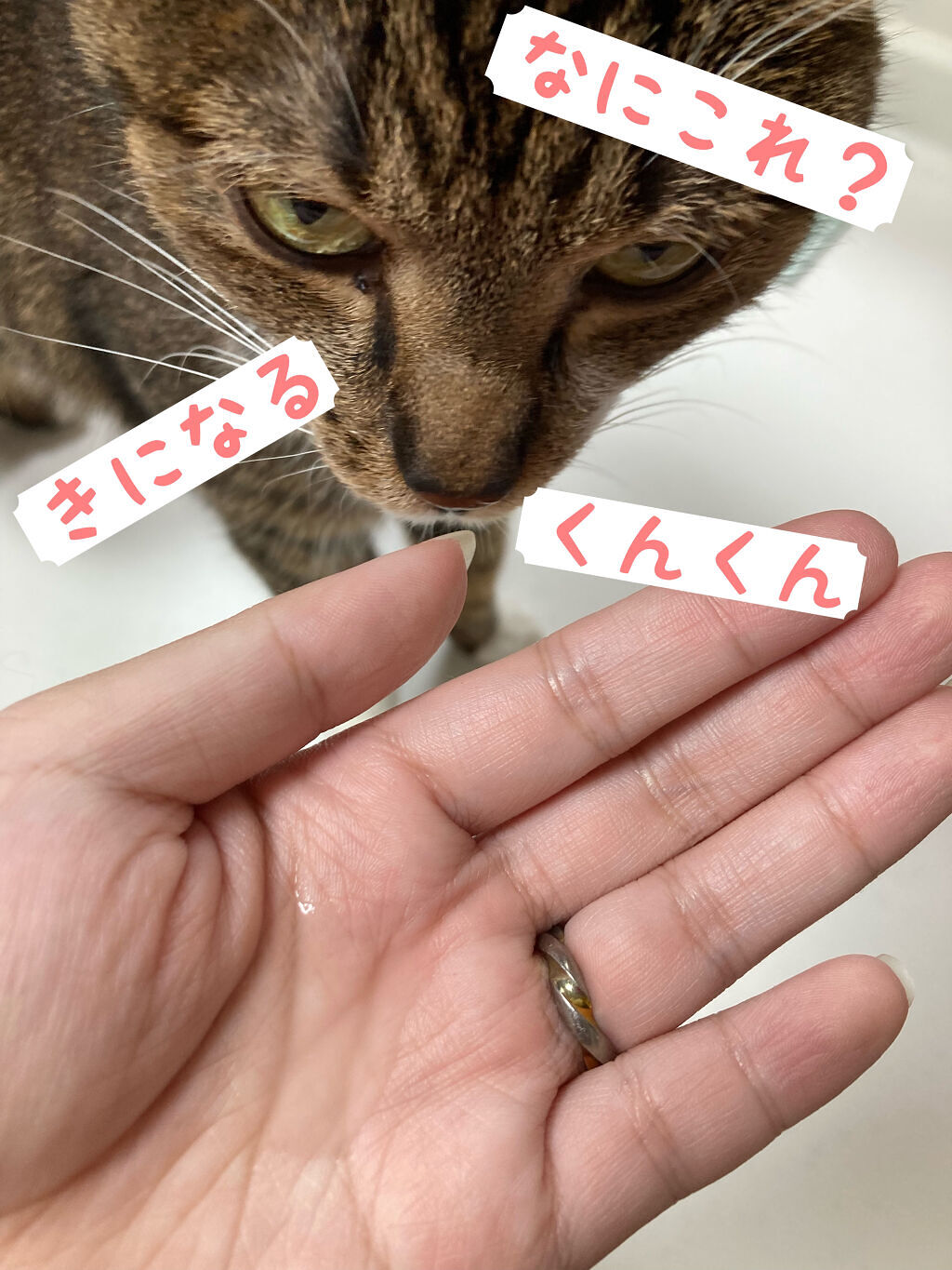 お部屋でシャンプー/TSUBAKI/ドライシャンプーを使ったクチコミ（3枚目）