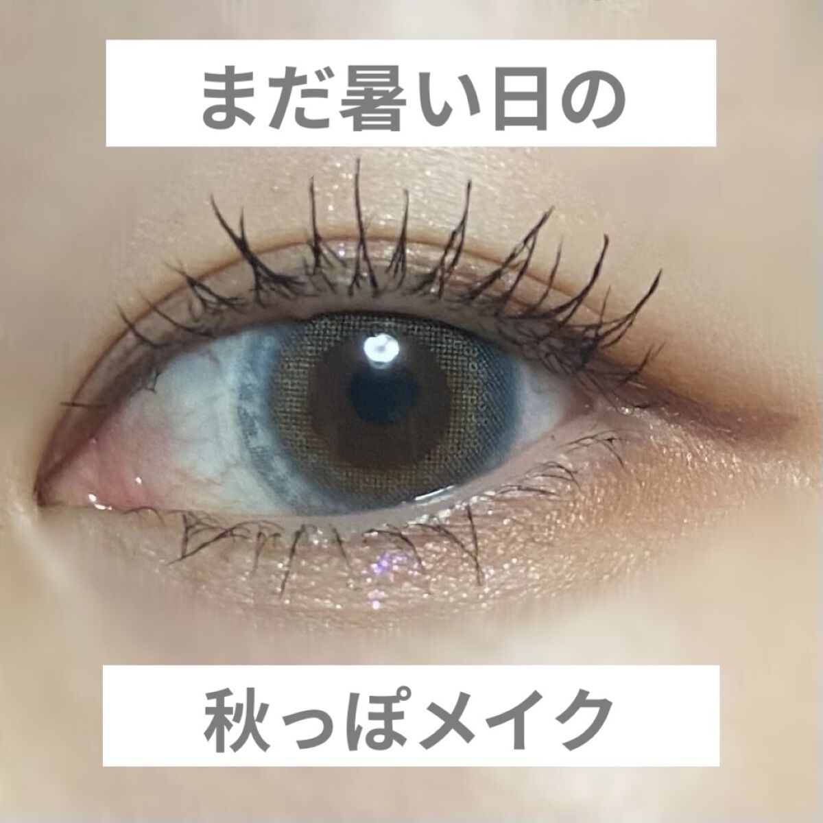 ショコラスウィート アイズ ソフトマット/リンメル ロンドン/アイシャドウパレットを使ったクチコミ（1枚目）