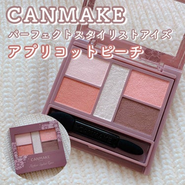  CANMAKE パーフェクトスタイリストアイズ


今回はCANMAKE パーフェクトスタイリストアイズの新色 アプリコットピーチのレビューです🙋‍♀️

----------------------