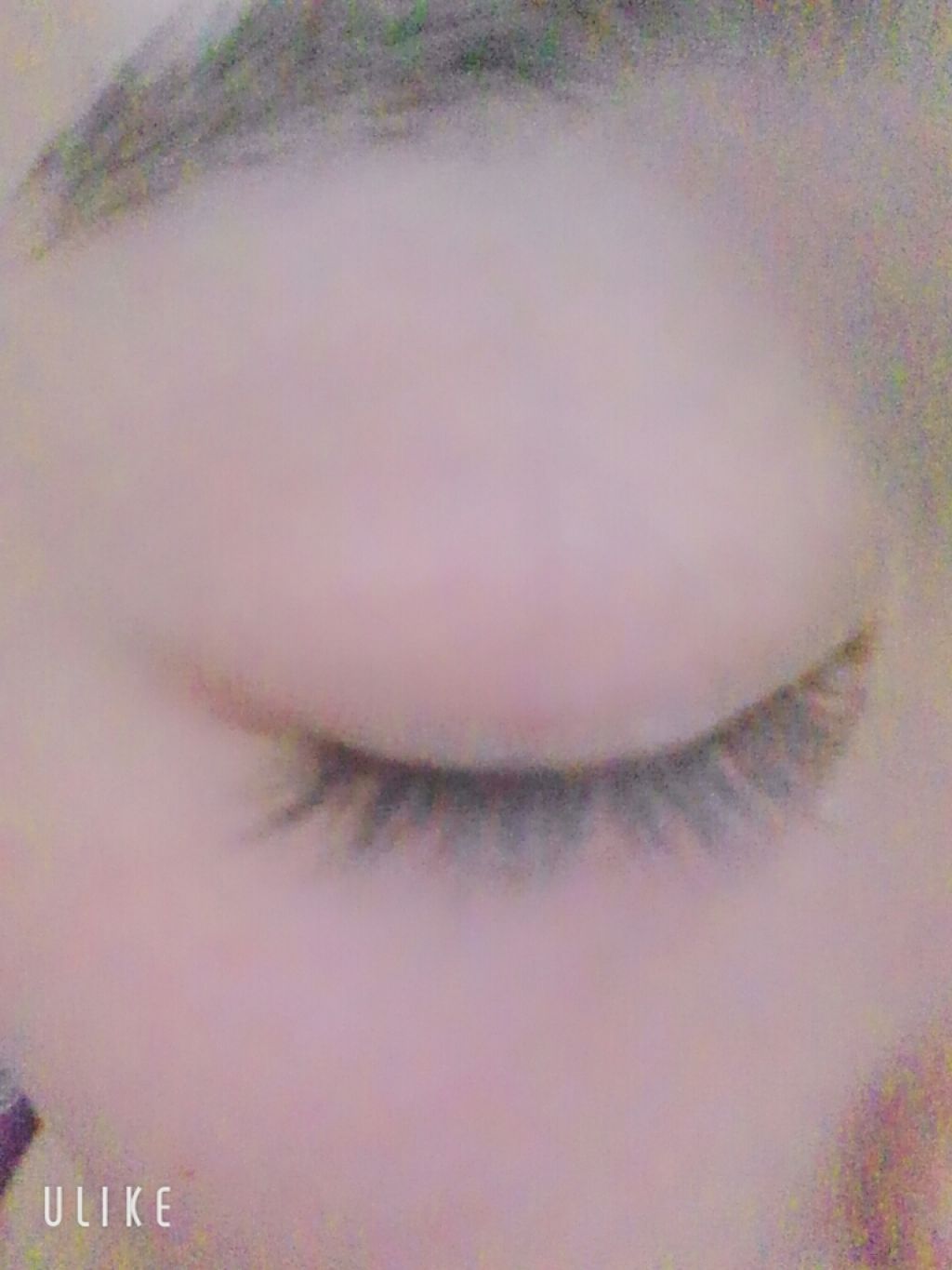 ローヤルゼリー配合 栄養ローション/DAISO/美容液を使ったクチコミ（1枚目）