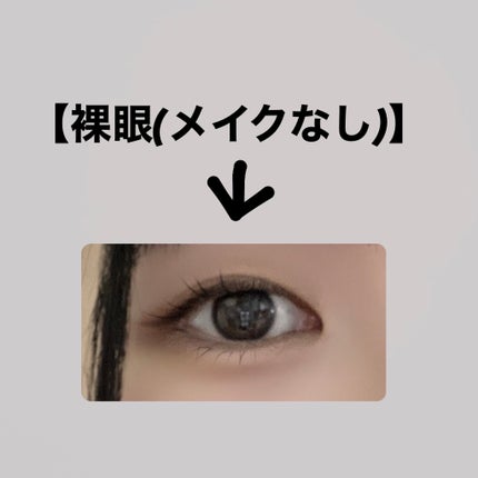 エバーカラーワンデー ナチュラル/エバーカラー/ワンデー(1DAY)カラコンを使ったクチコミ(3枚目)