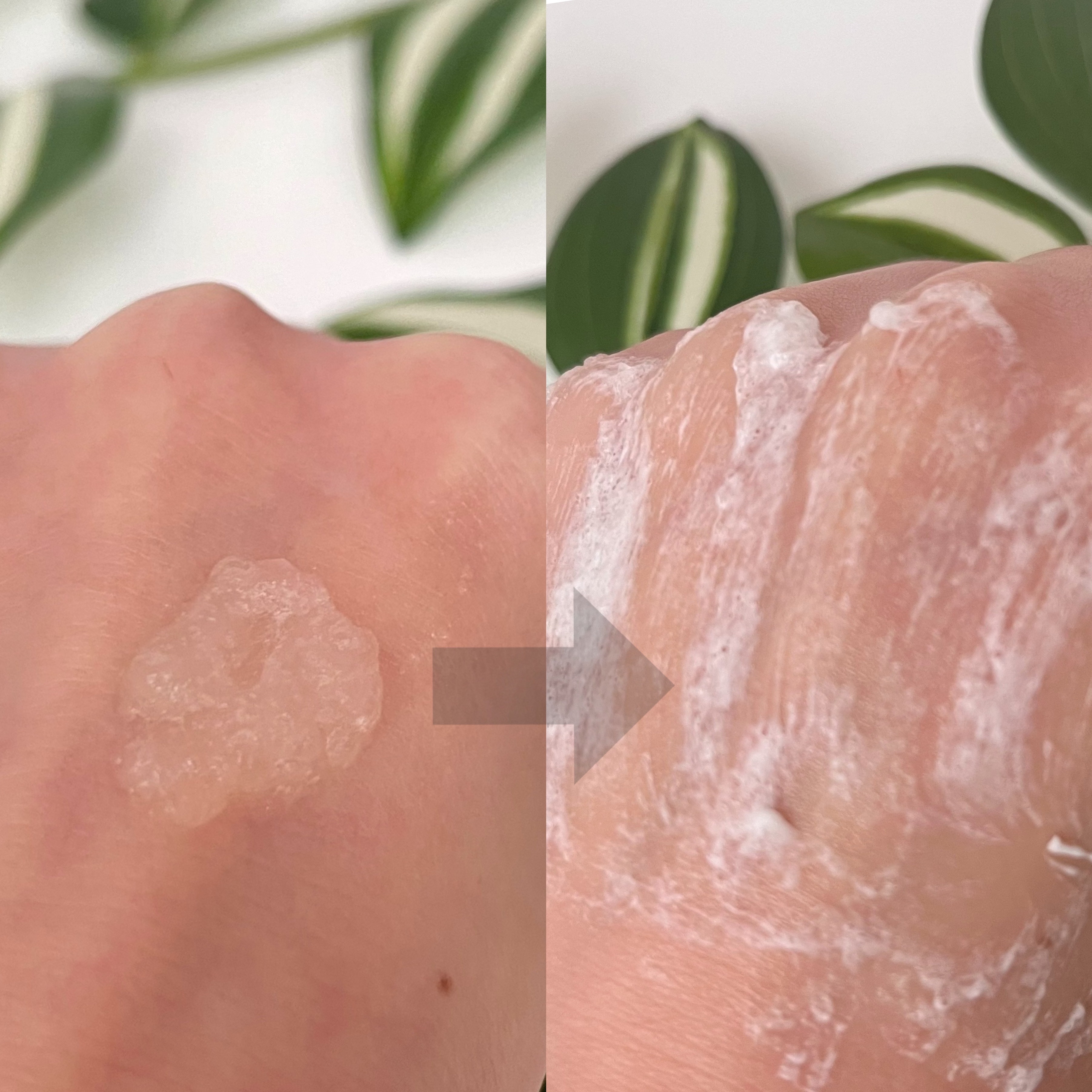 マンナンジェリーハイドロウォッシュ/PLUEST/洗顔料を使ったクチコミ（3枚目）