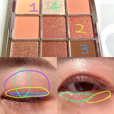 The Bella collection eyeshadow palette/CELEFIT/アイシャドウパレットを使ったクチコミ（3枚目）