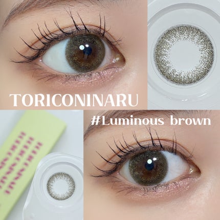 トリコニナル ワンデー ルミナスブラウン/トリコニナル/ワンデー(1DAY)カラコンの画像