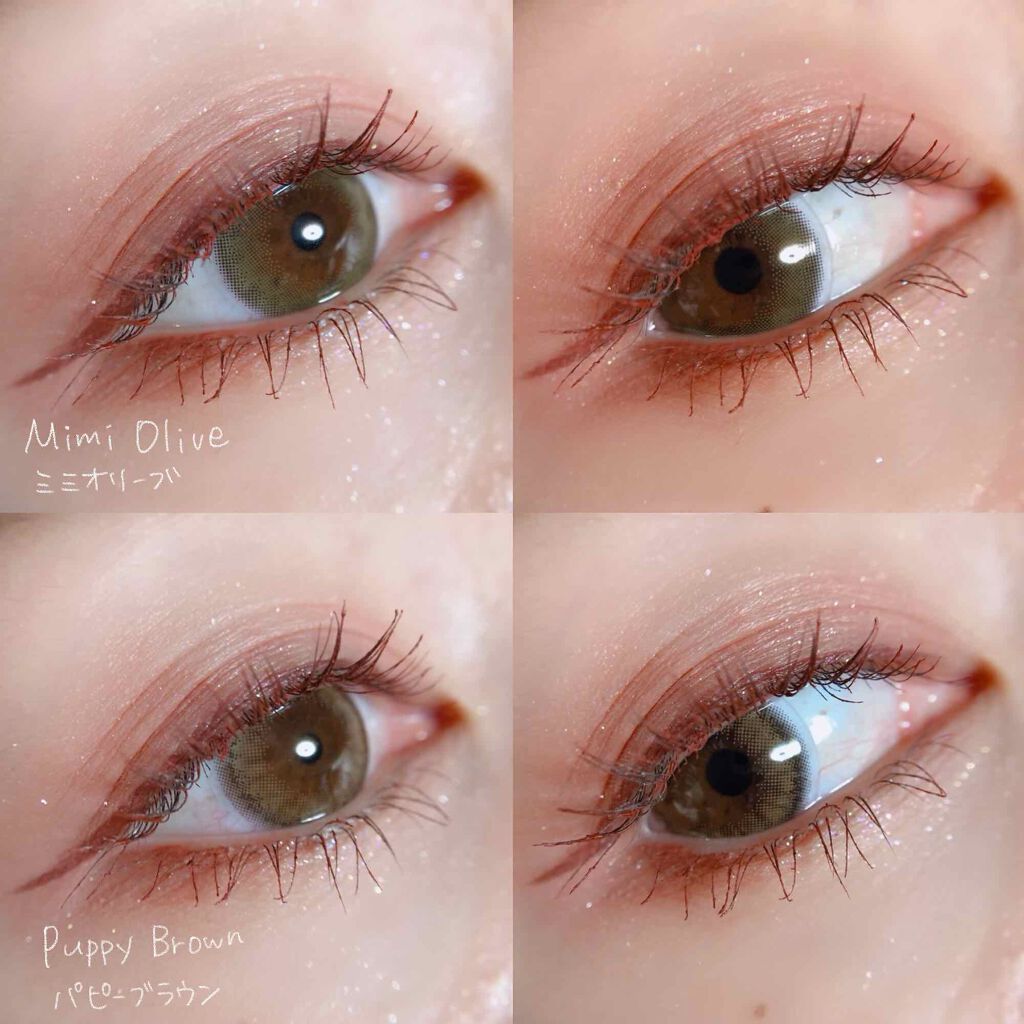 Cheritta 1day パピーブラウン(Puppy Brown)/Cheritta/ワンデー（１DAY）カラコンを使ったクチコミ（2枚目）