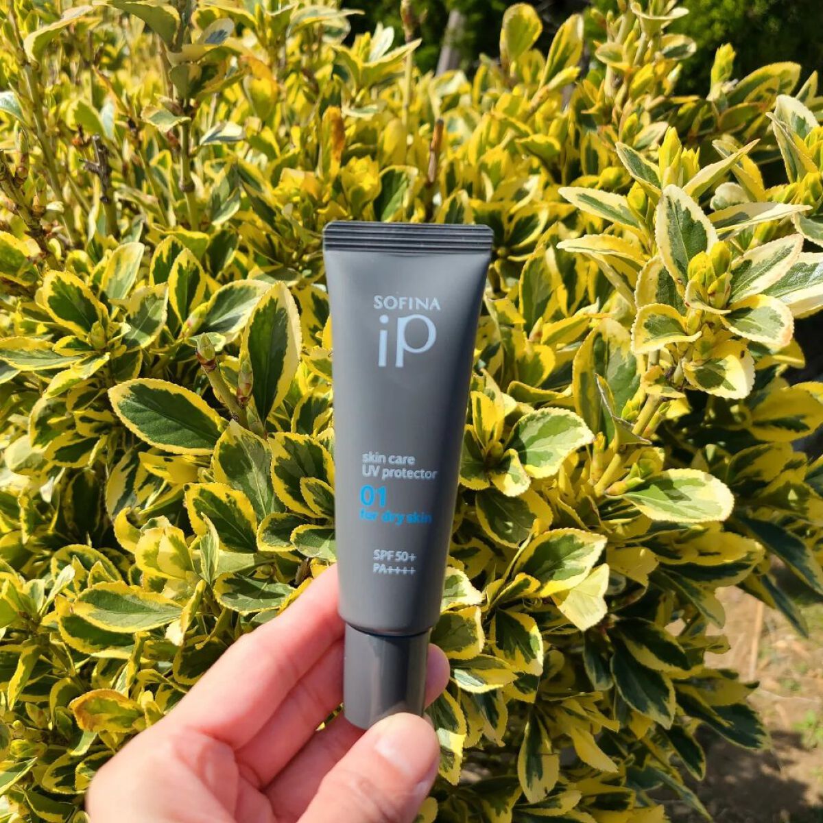 ソフィーナ iP スキンケアUV 01乾燥しがちな肌環境 SPF50+ PA++++/SOFINA iP/日焼け止めクリームを使ったクチコミ（2枚目）