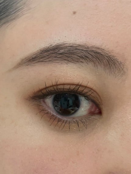 ビューティートリックアイブロー/インテグレート/パウダーアイブロウを使ったクチコミ(2枚目)