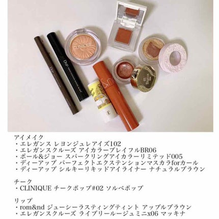 アイカラー プレイフル BR06/エレガンス クルーズ/単色アイシャドウを使ったクチコミ(2枚目)