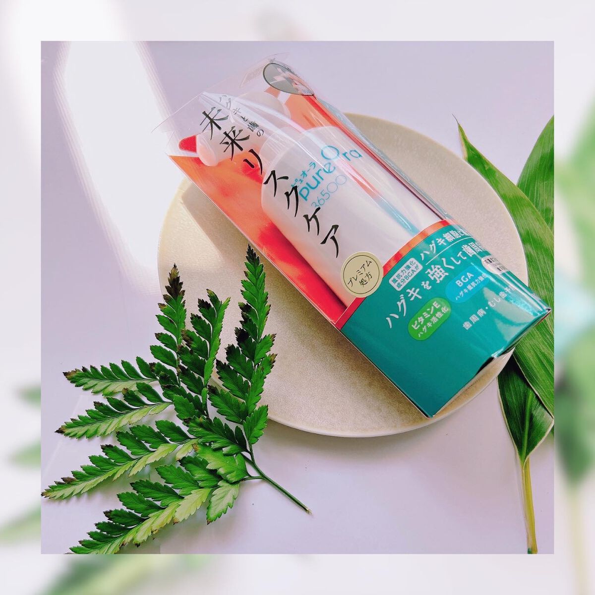 ピュオーラ36500 薬用ハグキ高密着クリームハミガキ/ピュオーラ/歯磨き粉を使ったクチコミ（2枚目）