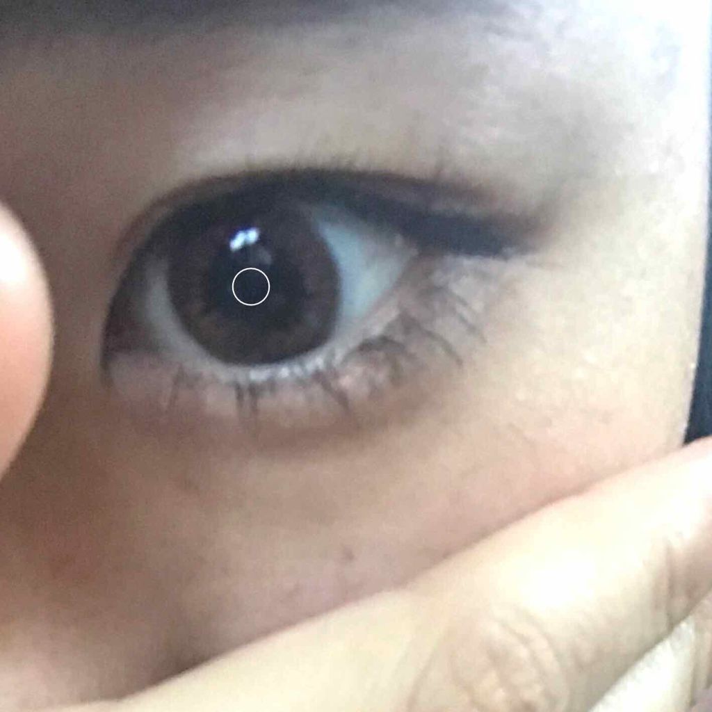 LA FILLE (ラ・フィーユ)/LA FILLE/カラーコンタクトレンズを使ったクチコミ(3枚目)