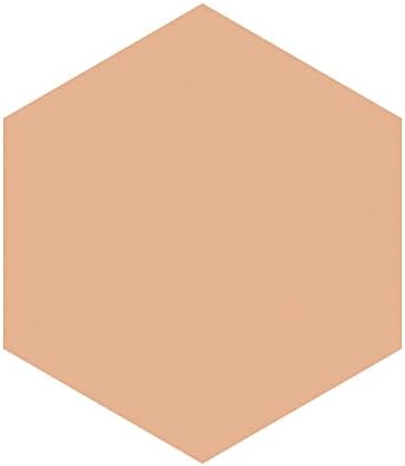 モイストパクトEX 特製セットII オークル 20