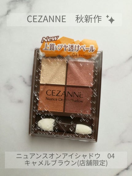 ニュアンスオンアイシャドウ/CEZANNE/アイシャドウパレットを使ったクチコミ(1枚目)