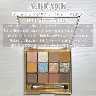 グラムチェンジマルチパレット/A.BLACK/アイシャドウパレットを使ったクチコミ（3枚目）