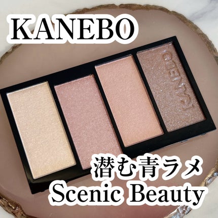 カラードシャドウ/KANEBO/アイシャドウパレットを使ったクチコミ(1枚目)