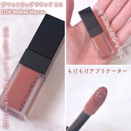 ホリデー アディクション サイレント ウィッシュⅡ /ADDICTION/メイクアップキットを使ったクチコミ(8枚目)