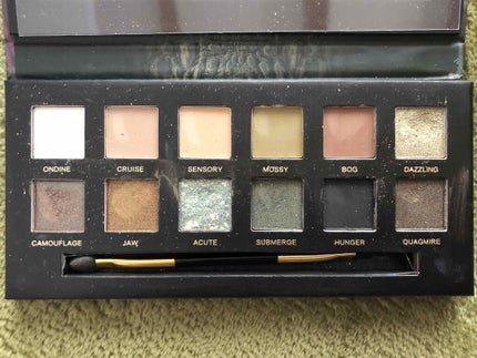 エクスプローラ12色 動物アイシャドウパレット/PERFECT DIARY/アイシャドウパレットを使ったクチコミ(3枚目)