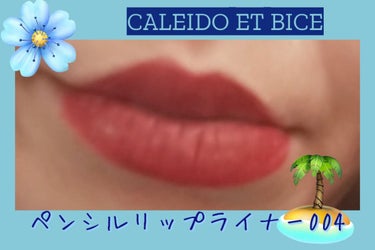 アメニータ シャープナーW/CALEIDO ET BICE/その他化粧小物を使ったクチコミ（3枚目）