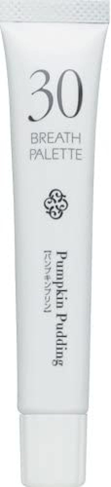 30 パンプキンプリン