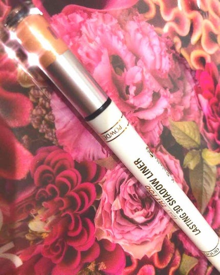 ラスティング3Dシャドウライナー/K-パレット/リキッドアイライナーを使ったクチコミ(1枚目)