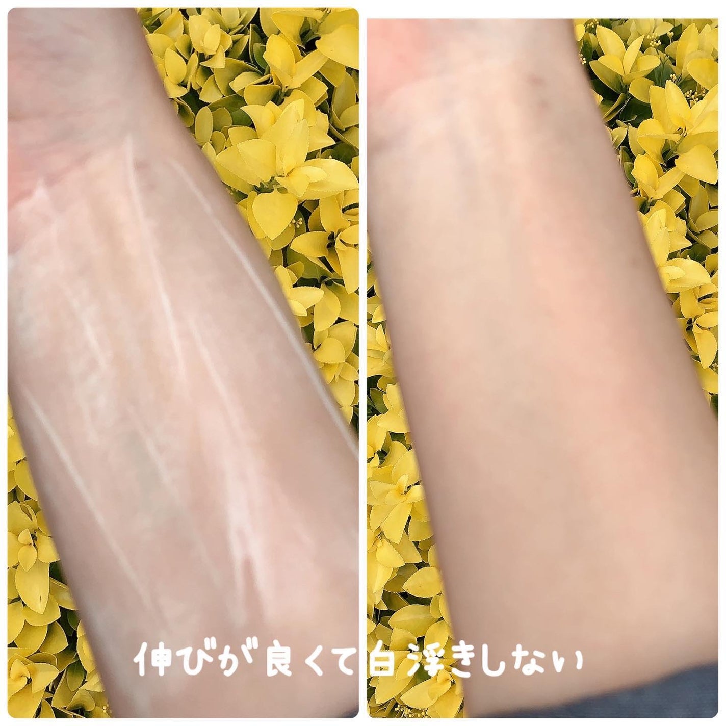 植物から生まれたミツバチUVミルク/アピセラピーコスメティクス/日焼け止めミルクを使ったクチコミ(4枚目)