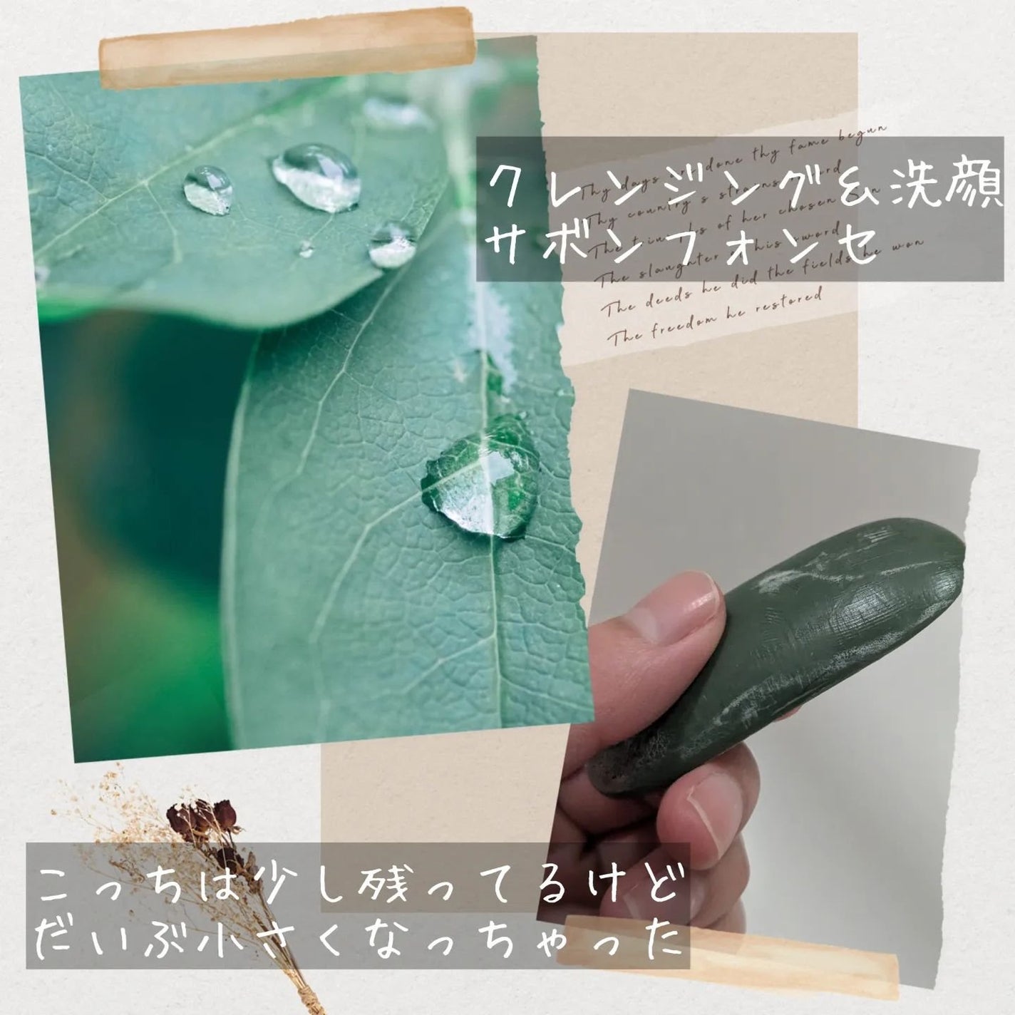 サボンクレール/P.G.C.D.(ペー・ジェー・セー・デー)/洗顔石鹸を使ったクチコミ(4枚目)